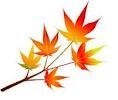 Autumn leaves